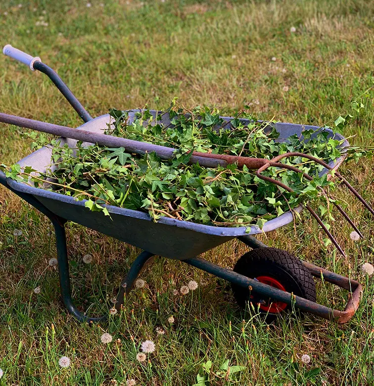 onkruid weghouden in je tuin