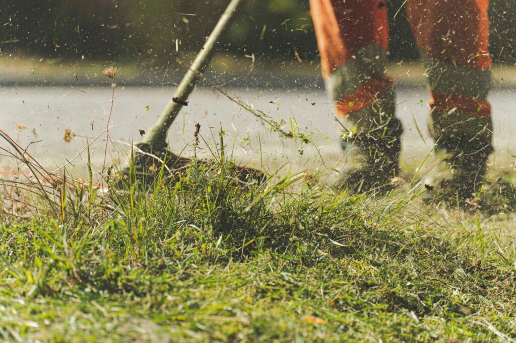 Gras dat wordt gemaaid met een grasmaaier